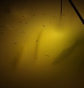 LED Underwater Fishing Spotlight 100W 12V/110-220V
